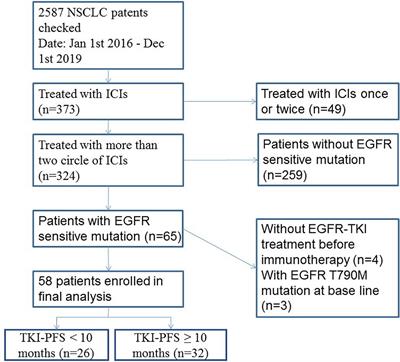 Patients With Short PFS to EGFR-TKIs Predicted Better Response to Subsequent Anti-PD-1/PD-L1 Based Immunotherapy in EGFR Common Mutation NSCLC